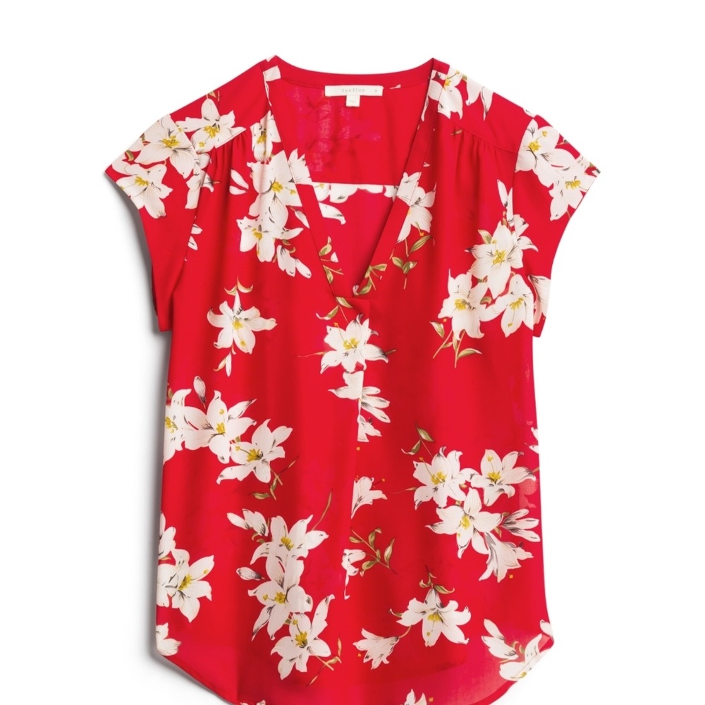 Stitchfix FUN2FUN Lillian V Neck blouse